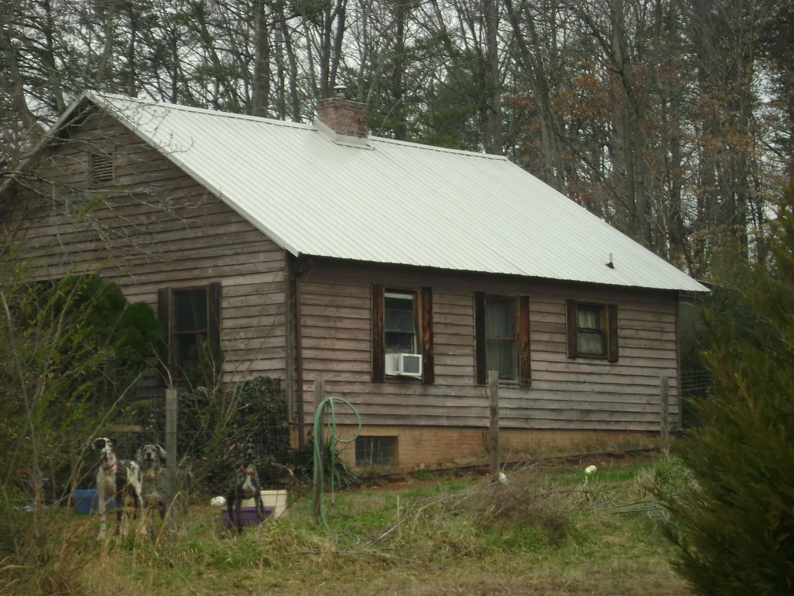 White metal roof on an old wood sided farmhouse, from a Asphalt Shingle Roof Repair job in Lenox Dale